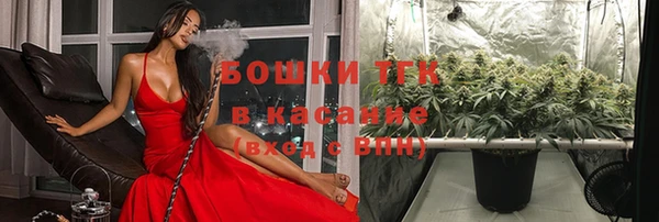 каннабис Богданович