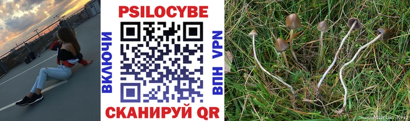 купить сайты Кондрово Галлюциногенные грибы Cubensis