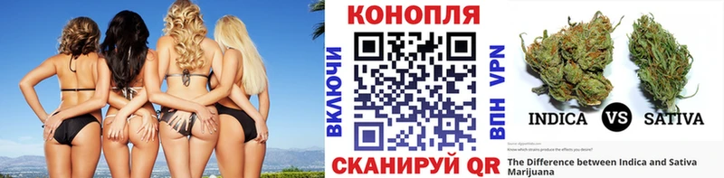 купить   Кондрово  Конопля AK-47 
